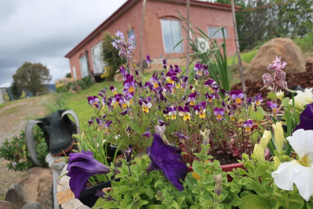 Cherry Top Farmstay - Boutique Eco Village Lilydale 外观 照片