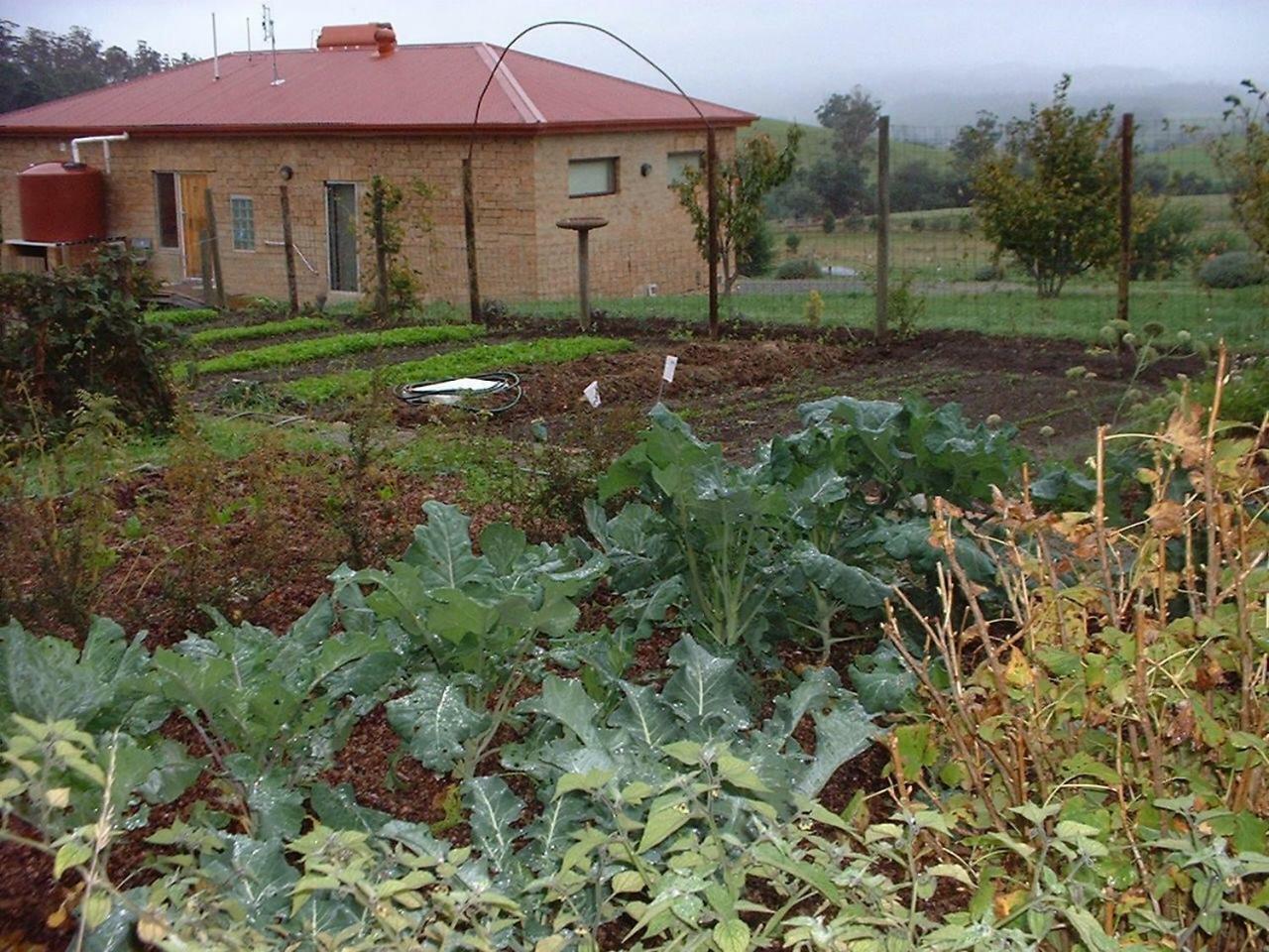 Cherry Top Farmstay - Boutique Eco Village Lilydale 外观 照片
