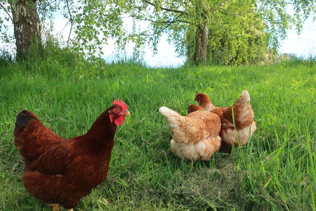Cherry Top Farmstay - Boutique Eco Village Lilydale 外观 照片