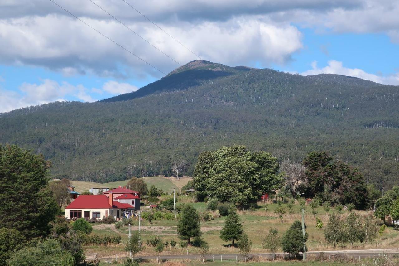 Cherry Top Farmstay - Boutique Eco Village Lilydale 外观 照片