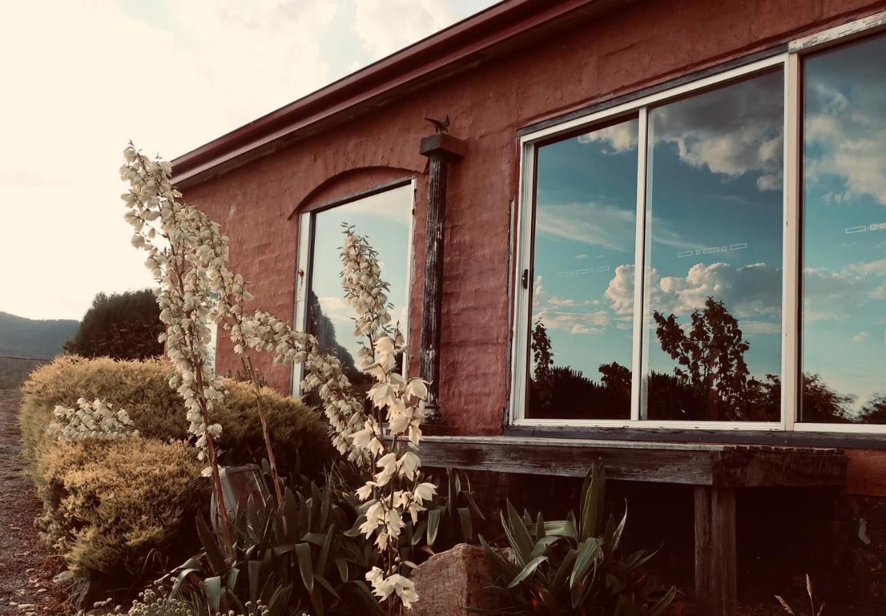 Cherry Top Farmstay - Boutique Eco Village Lilydale 外观 照片